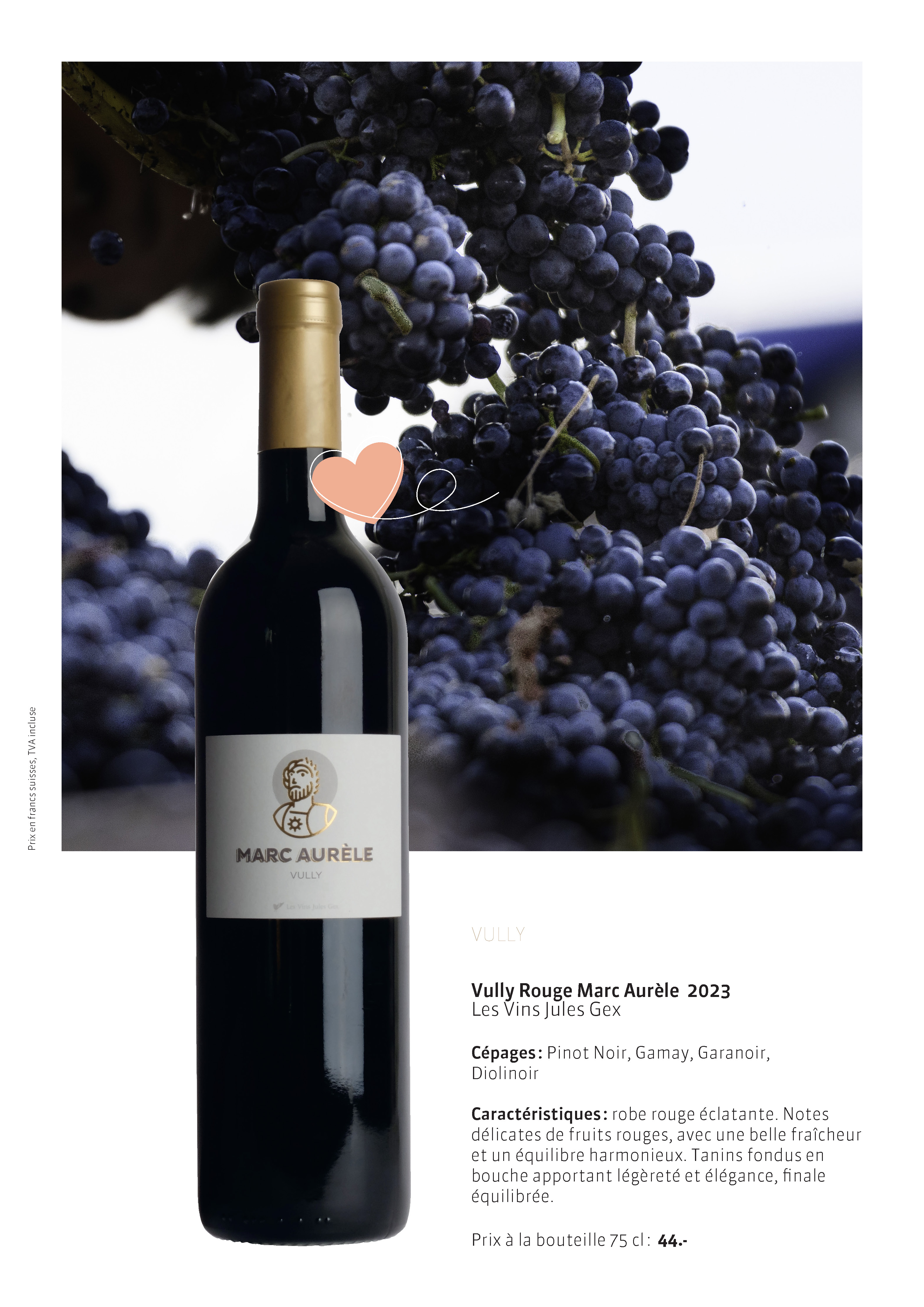 Vins Rouges Suisses - Coup de coeur