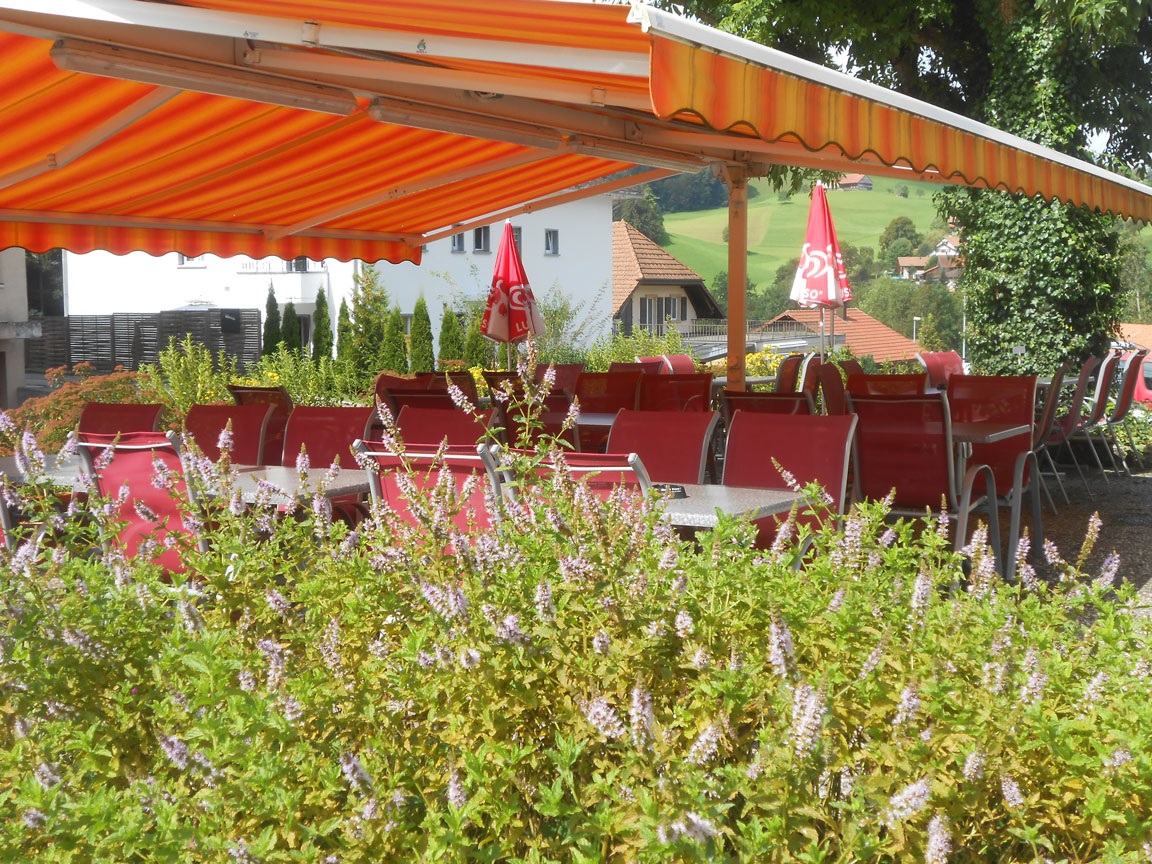 La Terrasse - Vue principale